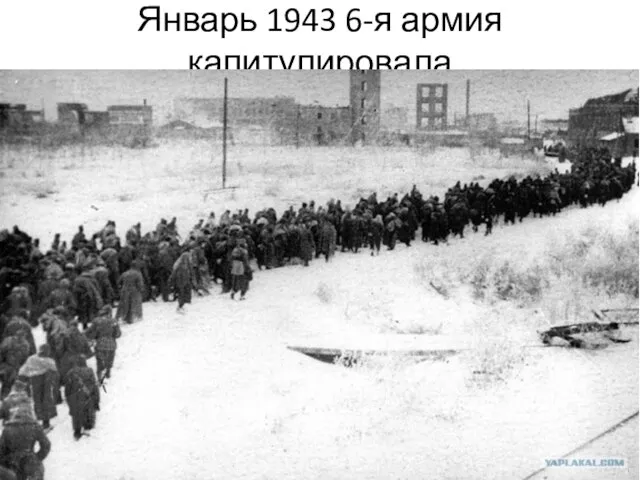 Январь 1943 6-я армия капитулировала