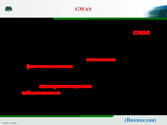 GWAS Полногено́мный анализ ассоциа́ций (англ. GWAS, Genome-Wide Association Studies) — направление биологических