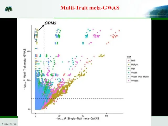 Multi-Trait meta-GWAS