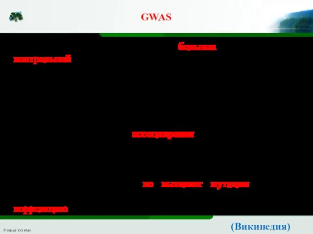 GWAS Обычно сравнивают геномы группы больных людей с геномами контрольной группы, включающей
