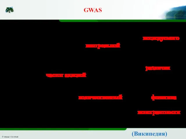 GWAS (Википедия) В основе поиска полногеномных ассоциаций как правило лежит сравнение геномов