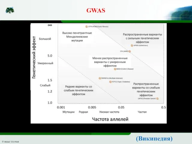 GWAS (Википедия)