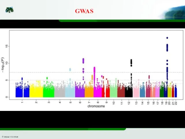 GWAS Верхняя прямая − критерий Бонферрони, нижняя − FDR