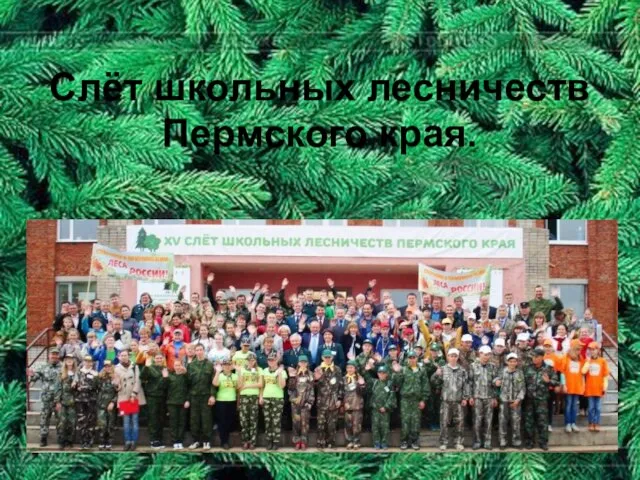 Слёт школьных лесничеств Пермского края.