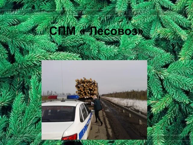 СПМ « Лесовоз»