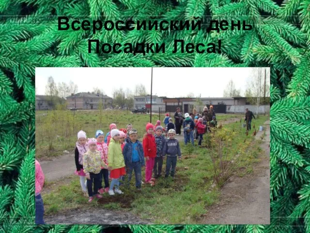 Всероссийский день Посадки Леса!
