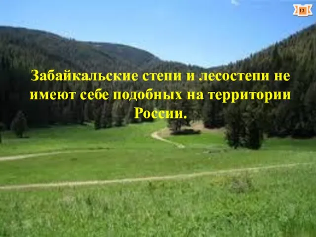 Забайкальские степи и лесостепи не имеют себе подобных на территории России.