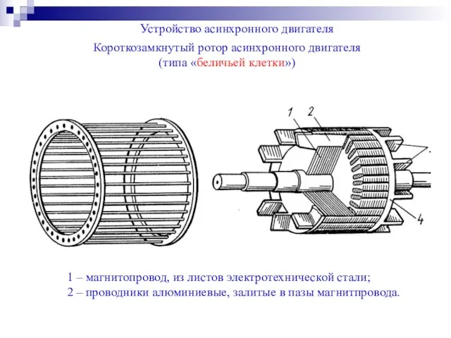 Короткозамкнутый ротор асинхронного двигателя (типа «беличьей клетки») Устройство асинхронного двигателя 1 –