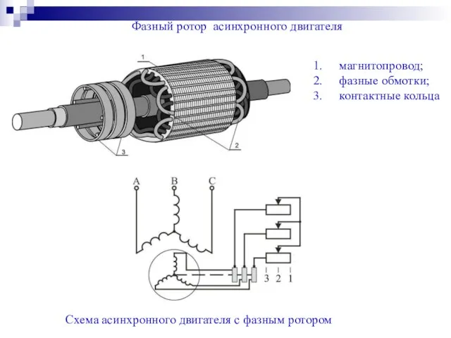 Фазный ротор асинхронного двигателя магнитопровод; фазные обмотки; контактные кольца Схема асинхронного двигателя с фазным ротором