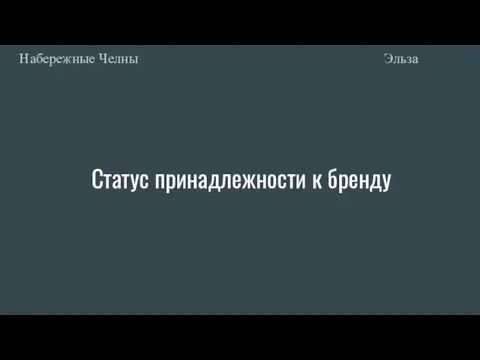 Статус принадлежности к бренду Эльза Набережные Челны