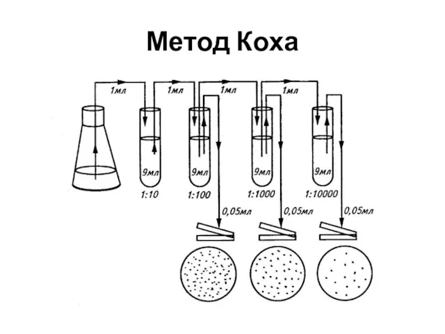 Метод Коха