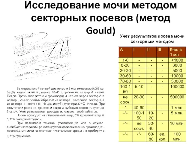 Исследование мочи методом секторных посевов (метод Gould) Учет результатов посева мочи секторным