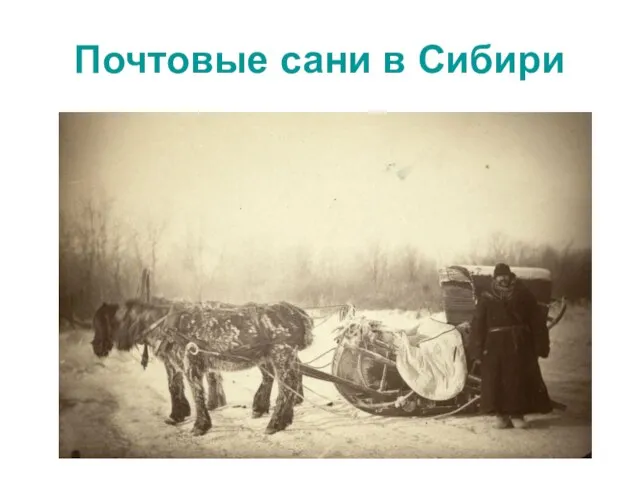 Почтовые сани в Сибири