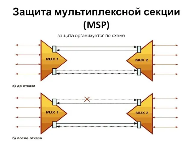 Защита мультиплексной секции (MSP) защита организуется по схеме «1+1»