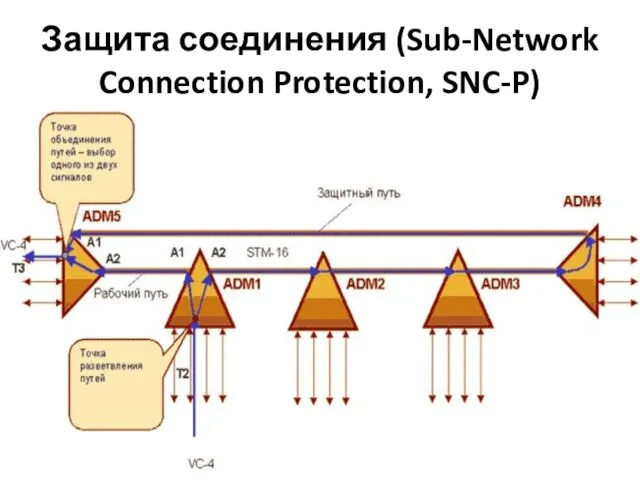 Защита соединения (Sub-Network Connection Protection, SNC-P)