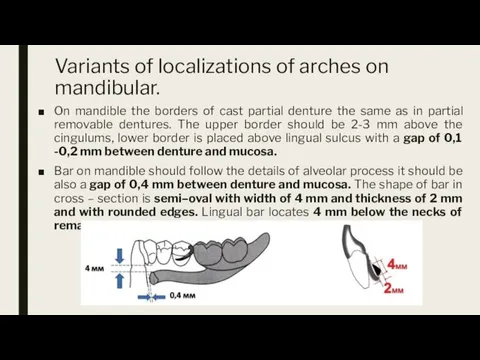 Variants of localizations of arches on mandibular. On mandible the borders of