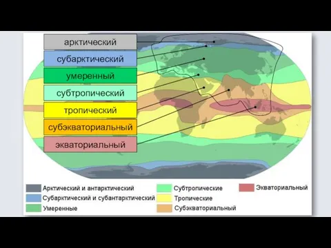 арктический субарктический умеренный субтропический тропический субэкваториальный экваториальный