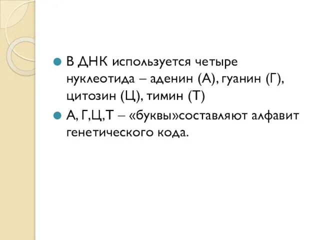 В ДНК используется четыре нуклеотида – аденин (А), гуанин (Г), цитозин (Ц),