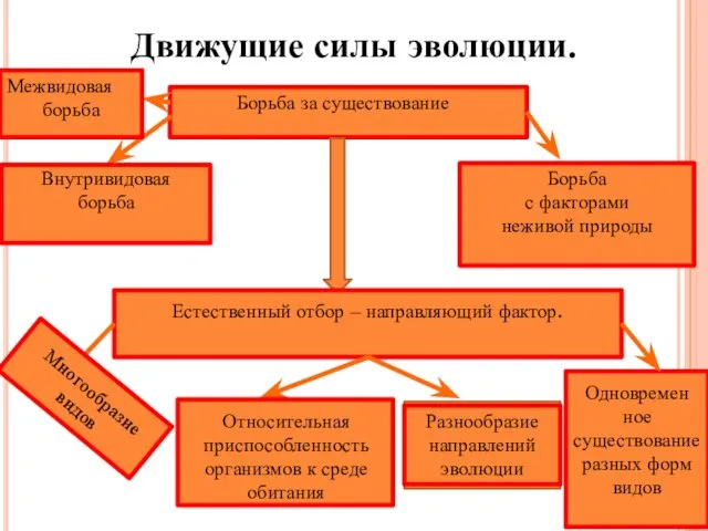 Движущие силы эволюции. Борьба за существование Естественный отбор – направляющий фактор. Межвидовая