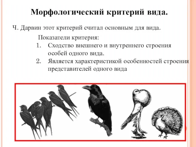 Морфологический критерий вида. Ч. Дарвин этот критерий считал основным для вида. Показатели
