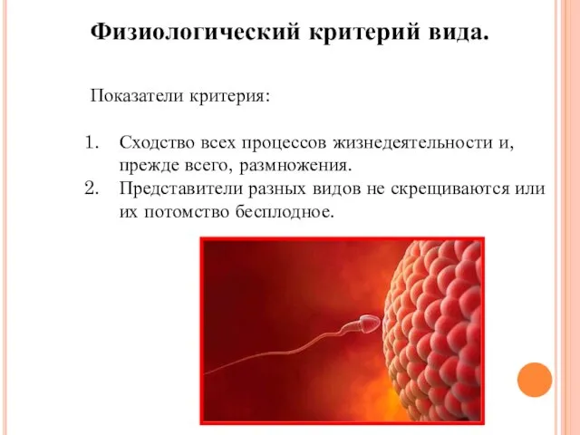 Физиологический критерий вида. Показатели критерия: Сходство всех процессов жизнедеятельности и, прежде всего,