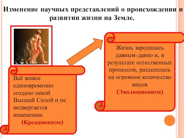 Изменение научных представлений о происхождении и развитии жизни на Земле. Всё живое