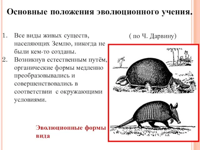 Основные положения эволюционного учения. ( по Ч. Дарвину) Все виды живых существ,