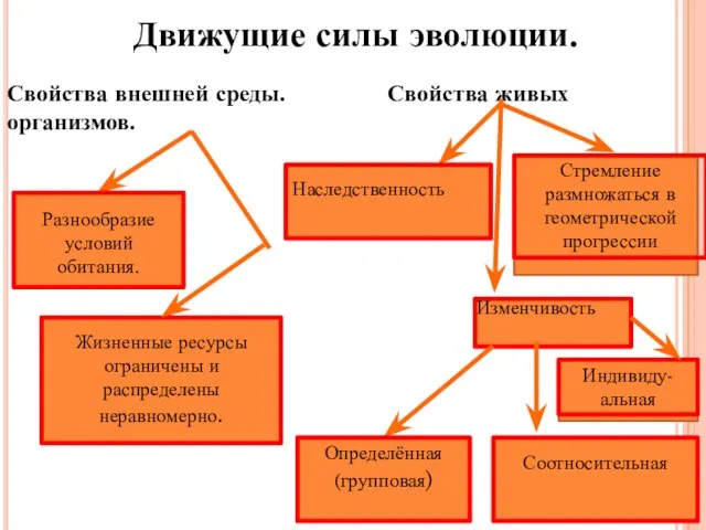 Движущие силы эволюции. Свойства внешней среды. Свойства живых организмов. Разнообразие условий обитания.