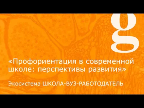 «Профориентация в современной школе: перспективы развития» Экосистема ШКОЛА-ВУЗ-РАБОТОДАТЕЛЬ