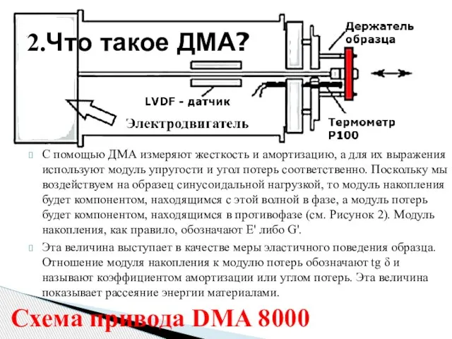 С помощью ДМА измеряют жесткость и амортизацию, а для их выражения используют