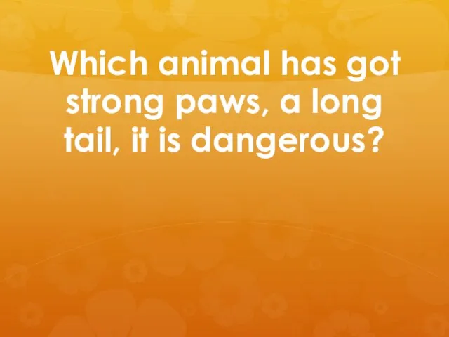 Which animal has got strong paws, a long tail, it is dangerous?