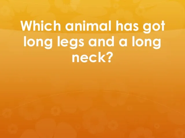 Which animal has got long legs and a long neck?