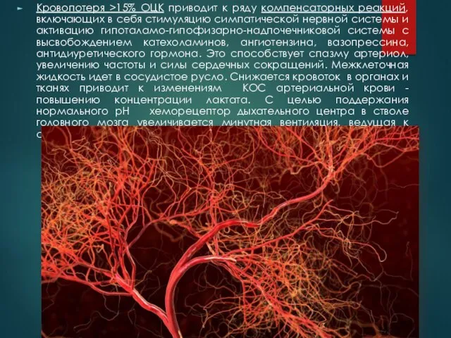 Кровопотеря >15% ОЦК приводит к ряду компенсаторных реакций, включающих в себя стимуляцию