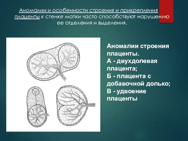 Аномалии и особенности строения и прикрепления плаценты к стенке матки часто способствуют