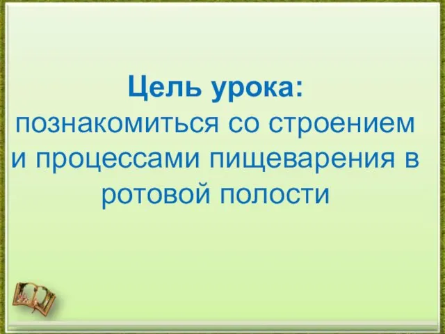 Цель урока: познакомиться со строением и процессами пищеварения в ротовой полости