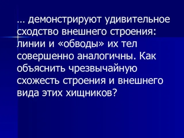 … демонстрируют удивительное сходство внешнего строения: линии и «обводы» их тел совершенно