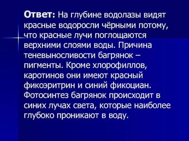 Ответ: На глубине водолазы видят красные водоросли чёрными потому, что красные лучи