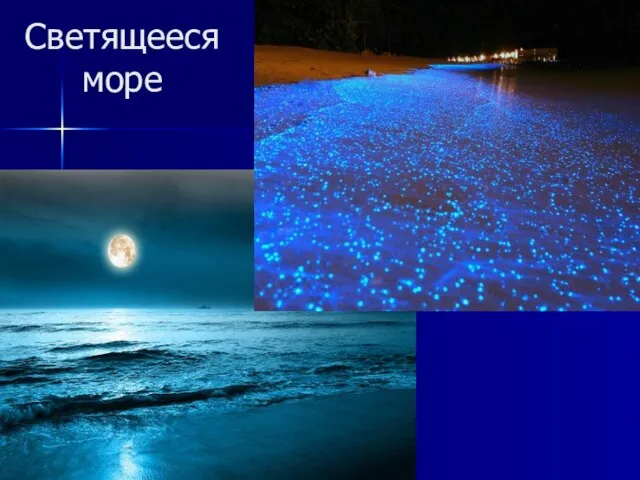 Светящееся море