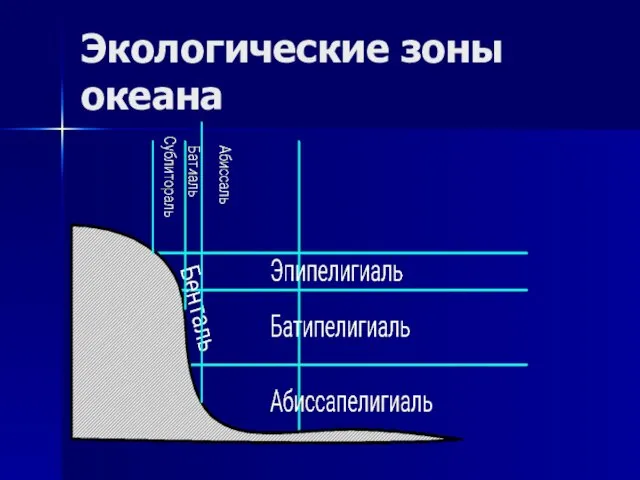 Экологические зоны океана