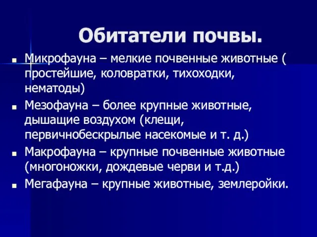 Обитатели почвы. Микрофауна – мелкие почвенные животные ( простейшие, коловратки, тихоходки, нематоды)