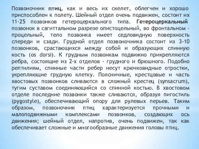 Позвоночник птиц, как и весь их скелет, облегчен и хорошо приспособлен к