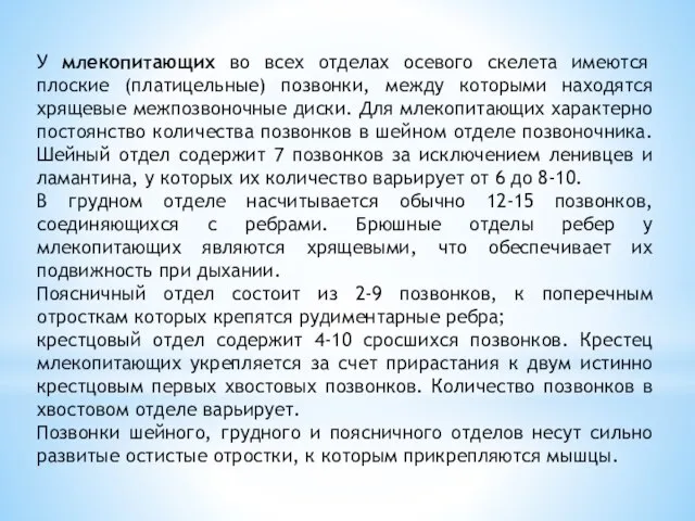 У млекопитающих во всех отделах осевого скелета имеются плоские (платицельные) позвонки, между