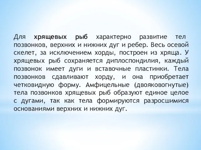 Для хрящевых рыб характерно развитие тел позвонков, верхних и нижних дуг и