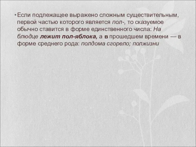 Если подлежащее выражено сложным существи­тельным, первой частью которого является пол-, то сказуемое