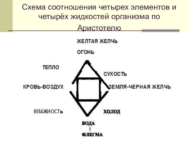 Схема соотношения четырех элементов и четырёх жидкостей организма по Аристотелю