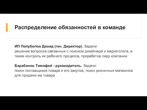 Распределение обязанностей в команде ИП Полубелов Давид (ген. Директор). Задачи: решение вопросов