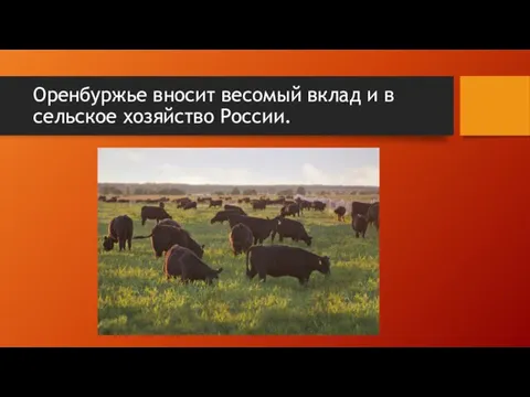 Оренбуржье вносит весомый вклад и в сельское хозяйство России.