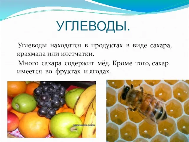 УГЛЕВОДЫ. Углеводы находятся в продуктах в виде сахара, крахмала или клетчатки. Много