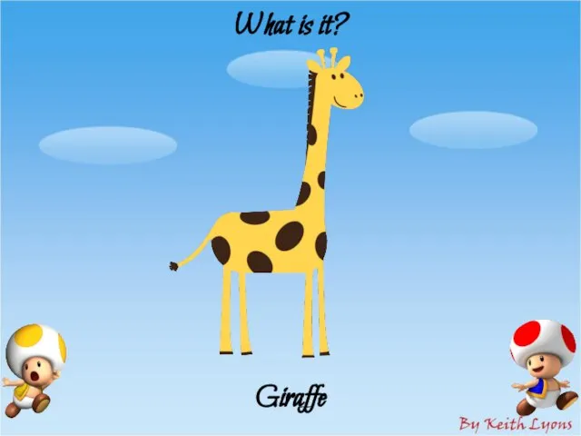 What is it? Giraffe