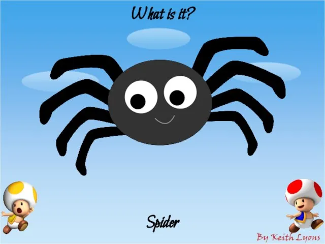 What is it? Spider